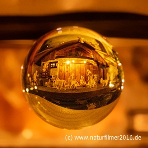 20211812_weihnachtskarte_DSC05956_beste_PS