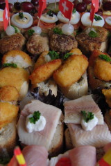 Erika_B (32)  Fingerfood_240x160