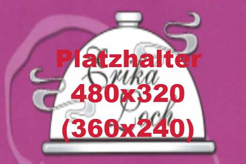 schuessel_480x320